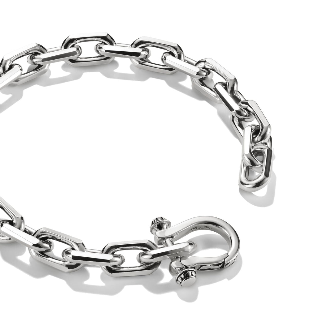 Link Bracelet with Horseshoe Clasp Wild Horses