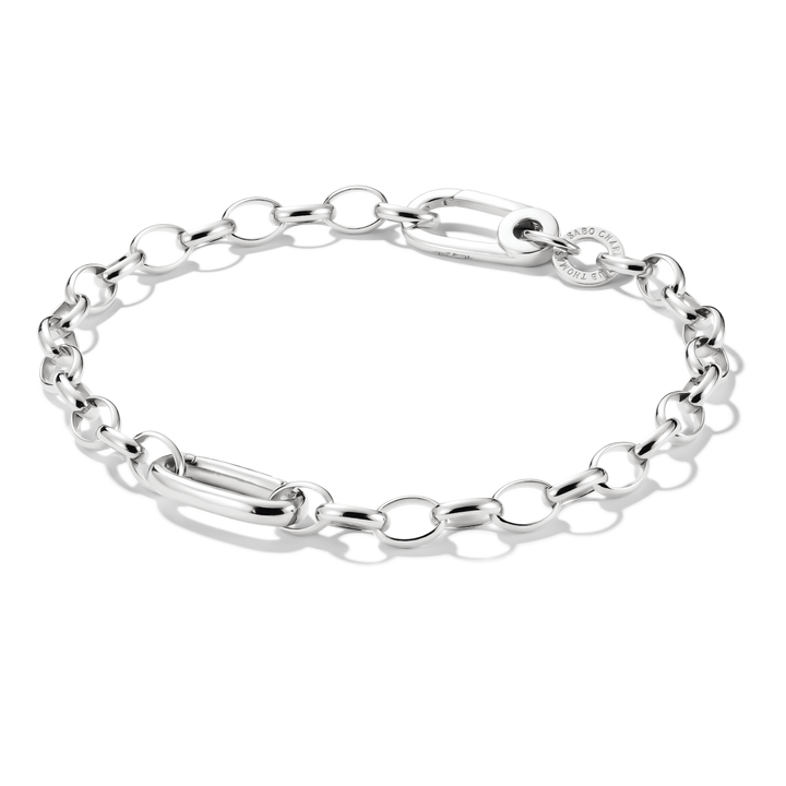 Charm bracelet with Connect link Silver