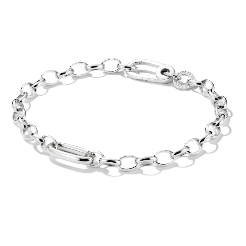 Charm bracelet with Connect link Silver