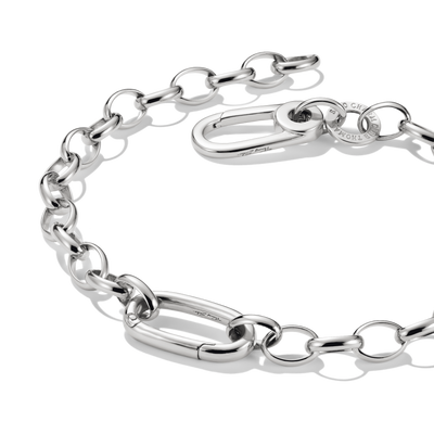 Charm bracelet with Connect link Silver