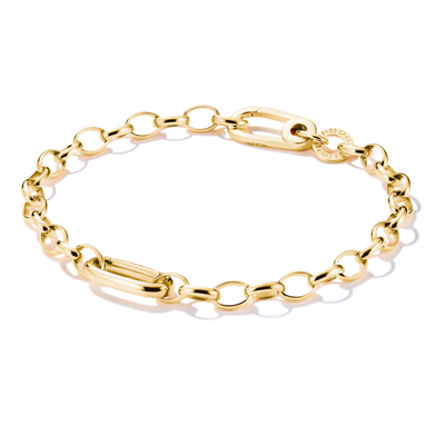 Charm bracelet with Connect link Gold