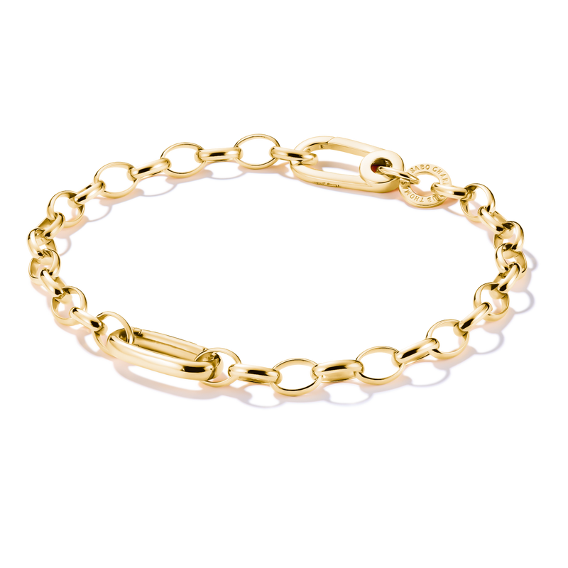 Charm bracelet with Connect link Gold