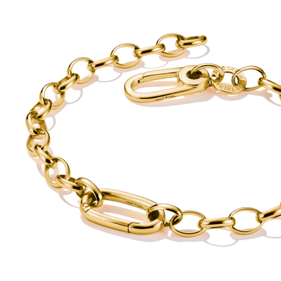 Charm bracelet with Connect link Gold