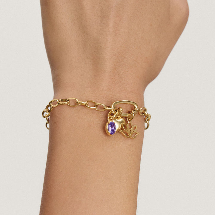 Gold-Tone Stainless Steel Charm Club Bracelet with Connect Link