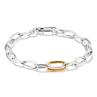Charm bracelet bicolour with Connect link