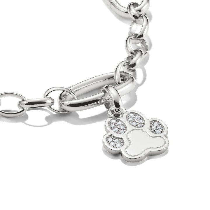 Connect Charm paw with stones silver