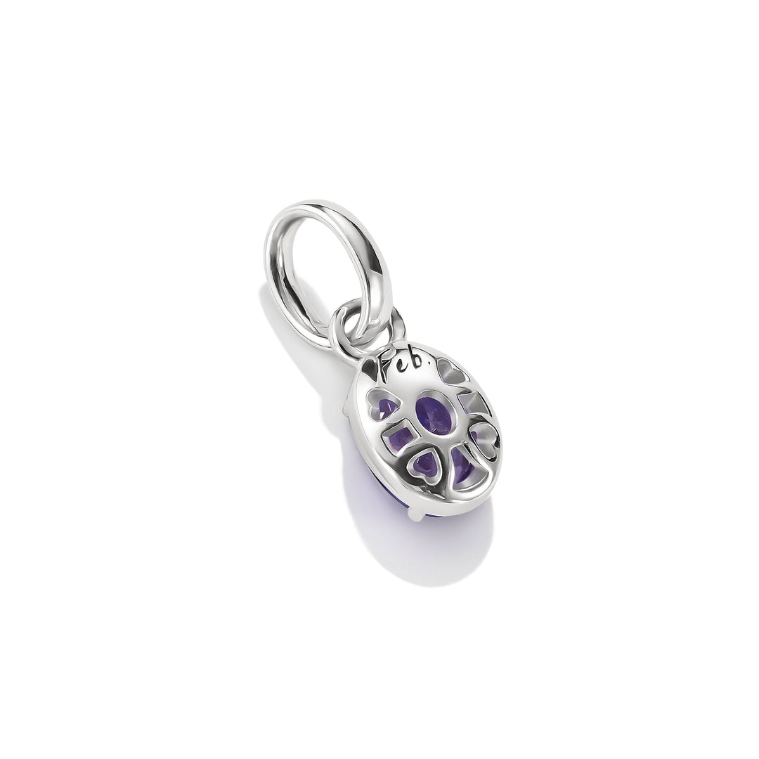 Connect Charm Birthstone February
