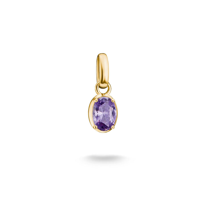 Gold-Plated February Birthstone Charm | THOMAS SABO