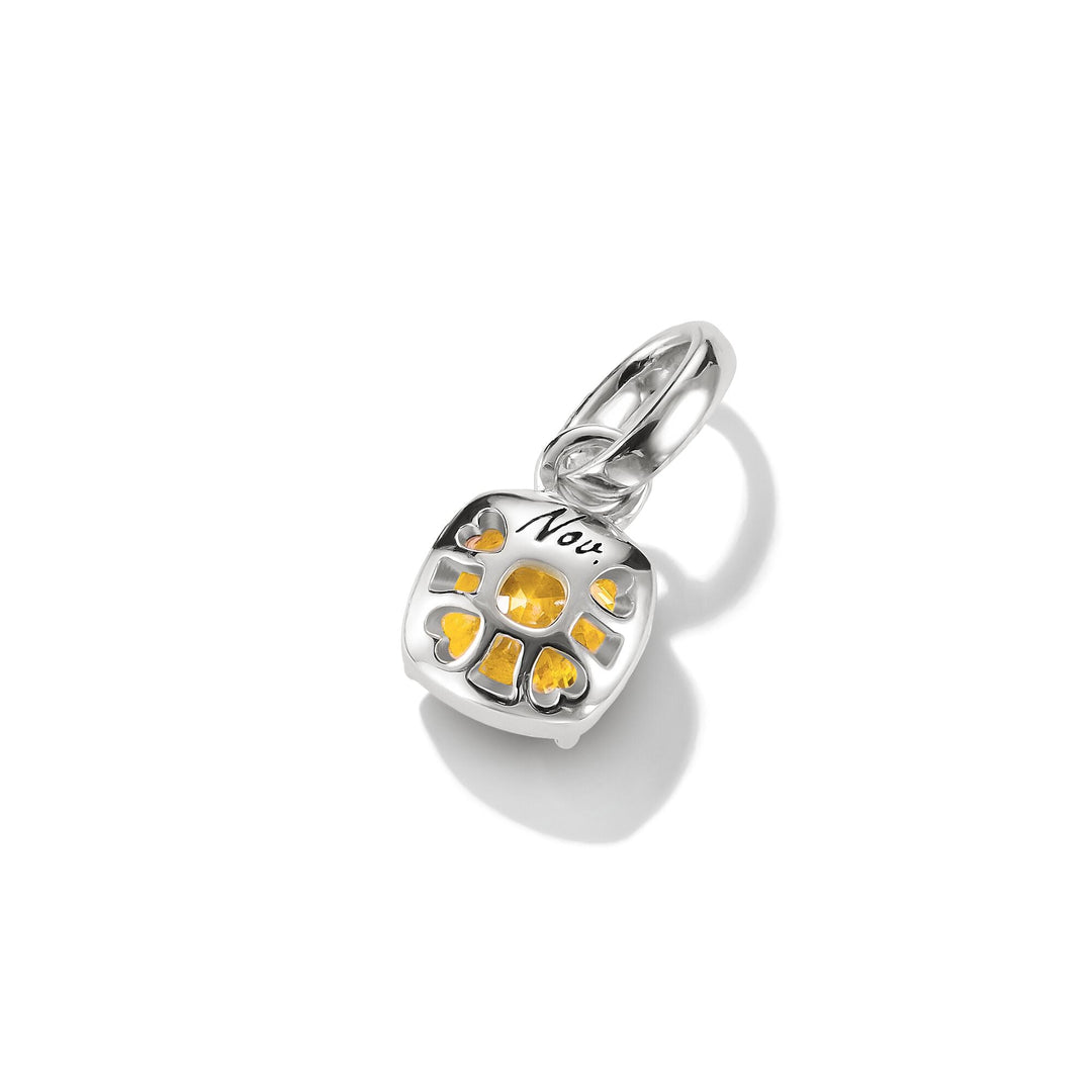 Connect Charm Birthstone November