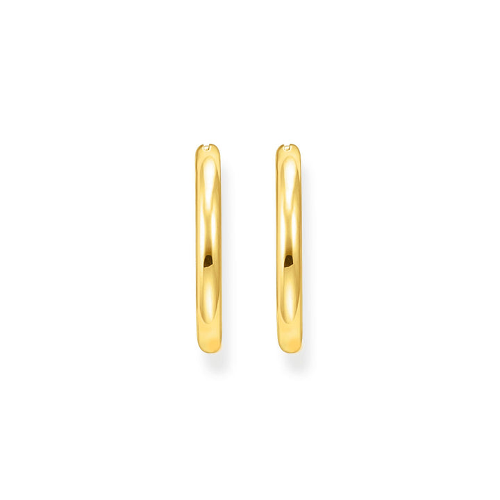 Classic hoop earrings in wider shape