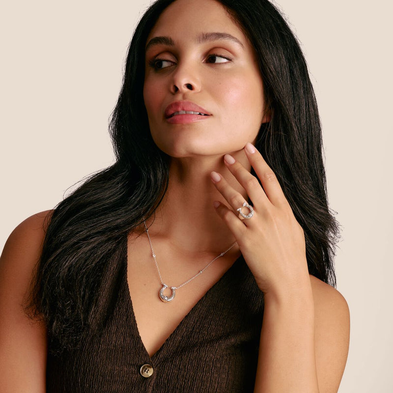 Horseshoe Necklace with Zirconia Elyndra