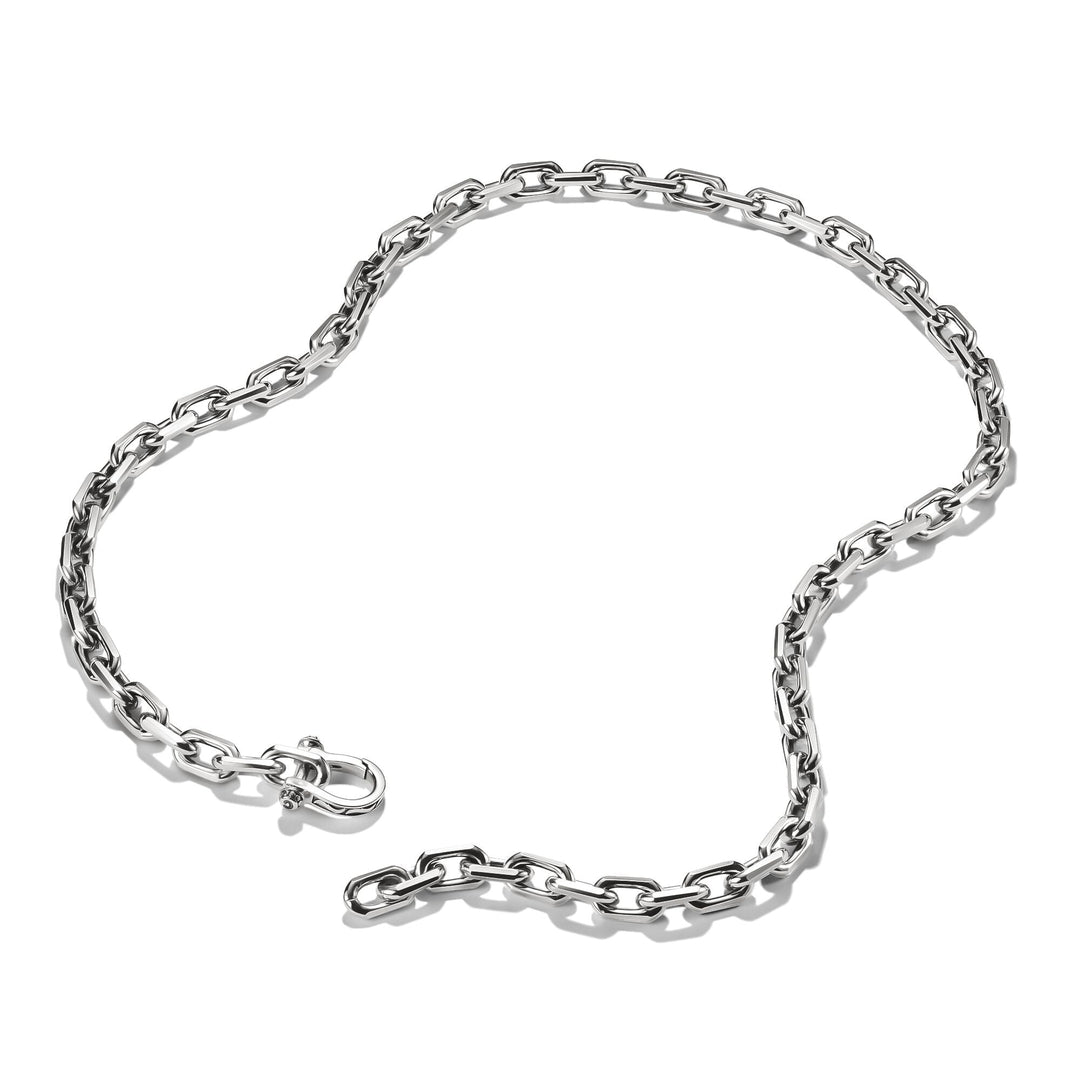 Link Necklace Wild Horses