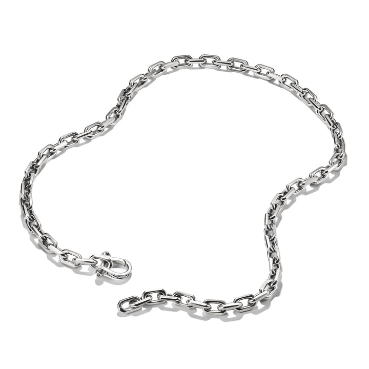 Link Necklace Wild Horses