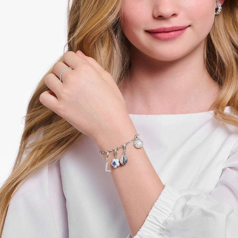 Charm bracelet with cold enamel silver