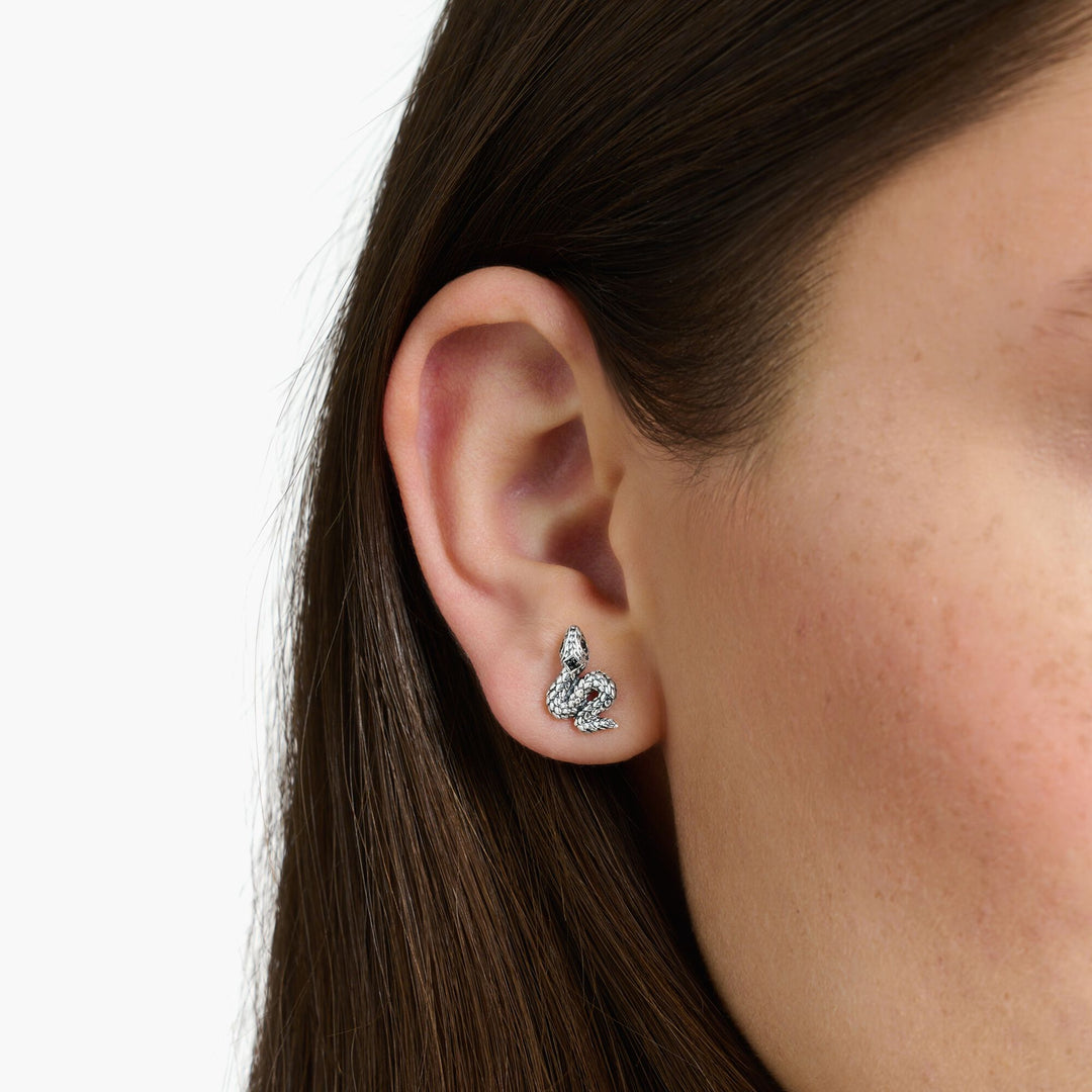 Ear studs blackened snake | THOMAS SABO Australia