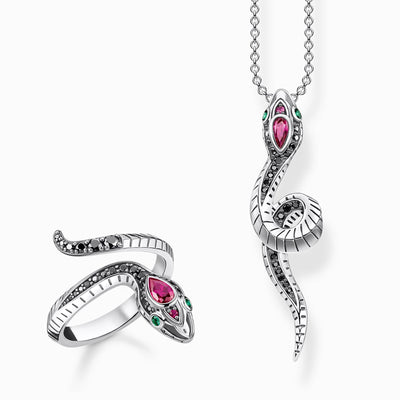 Snake Necklace & Ring Set
